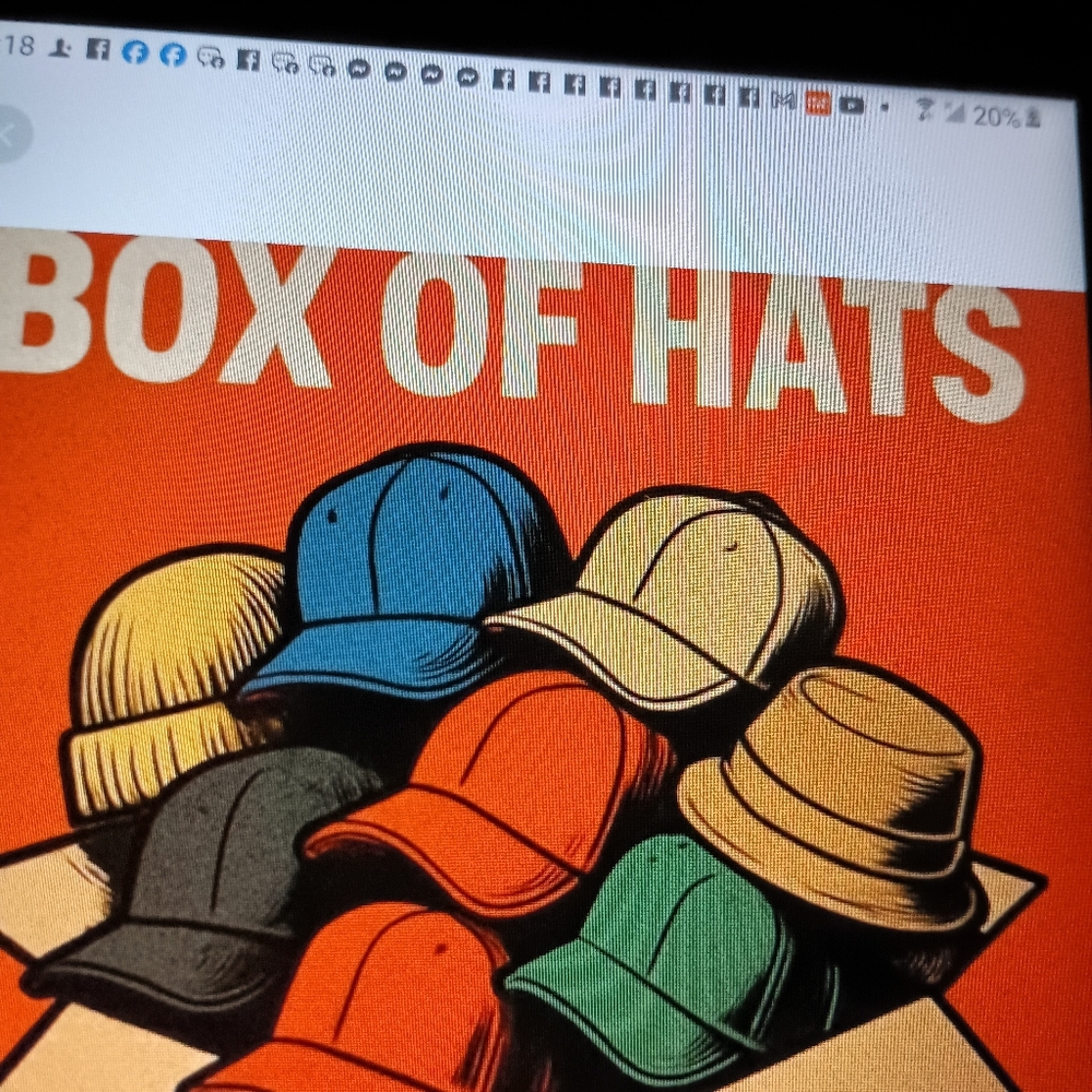 6 Designer Men Hats 2 Winter/ Fall Hats 2 Summer/ Spring 2 Baseball Caps $49